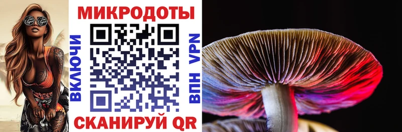 hydra онион  Заречный  Галлюциногенные грибы мухоморы  закладка 
