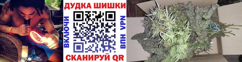 Конопля сатива  Заречный 